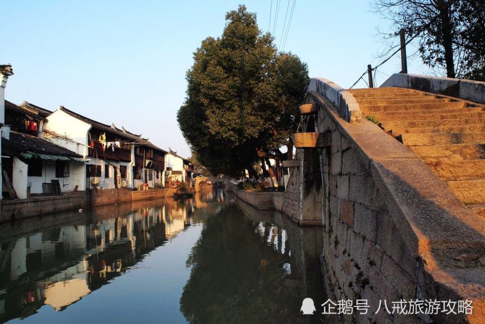 活力跳跳